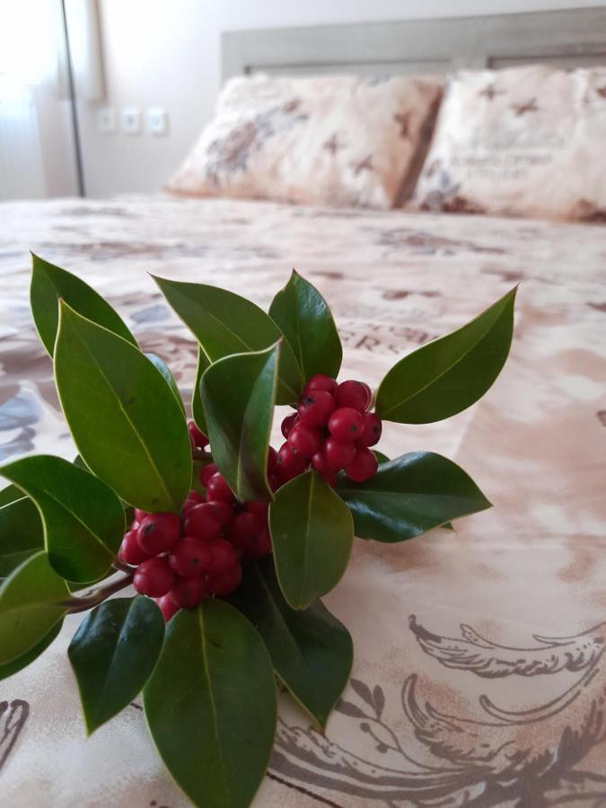Exantas The Lux-Veria Apartment Екстериор снимка